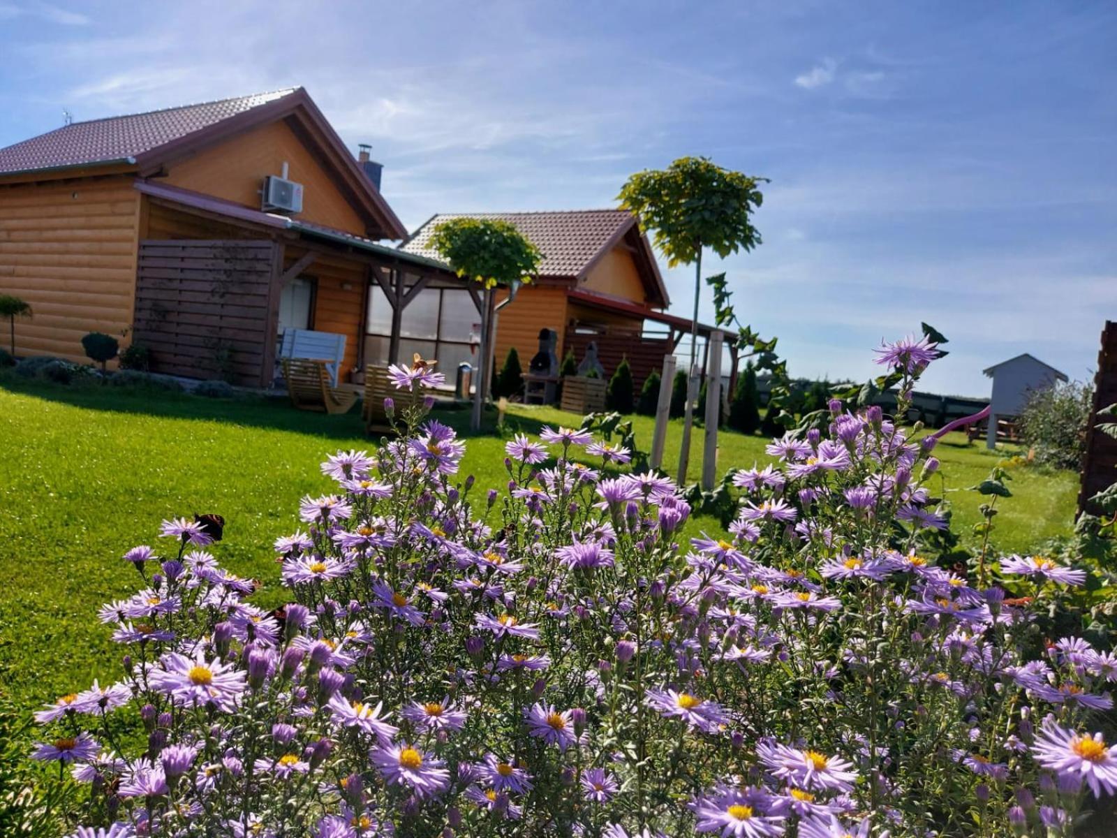 Villa Lawendowy Zakatek Boszkowo